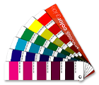 pantone nobrinde
