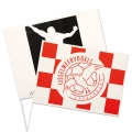 SUPPORTER�S FLAGS  SIZE 33 X 46 CM