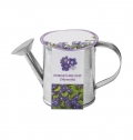 PLANT IN WATERING CAN