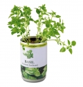 AROMATIC HERBS IN TIN CAN