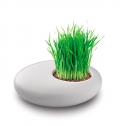 GRASS PLANT IN WHITE CERAMIC.