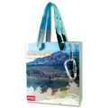 SACO PAPEL BRILHANTE IMP. OFFSET E PEGAS CORDA ALGOD�O 18X16
