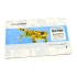 BASE RATO MINI QUADRICROMIA 1 LADO 15X15CMS #3