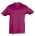 T-SHIRT CRIAN�A REGENT KIDS  CORES