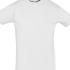T-SHIRT HOMEM REGENT  CORES