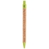 caneta