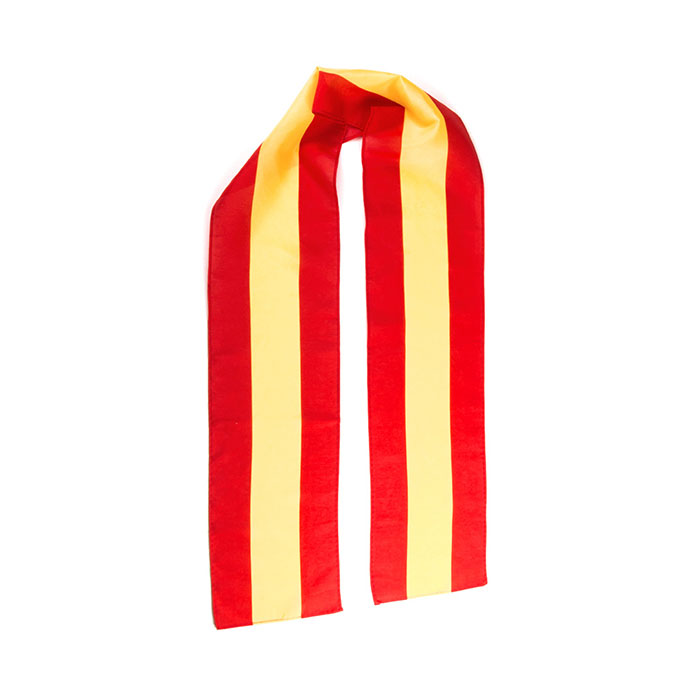 Cachecol Lesport