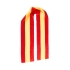 Cachecol Lesport