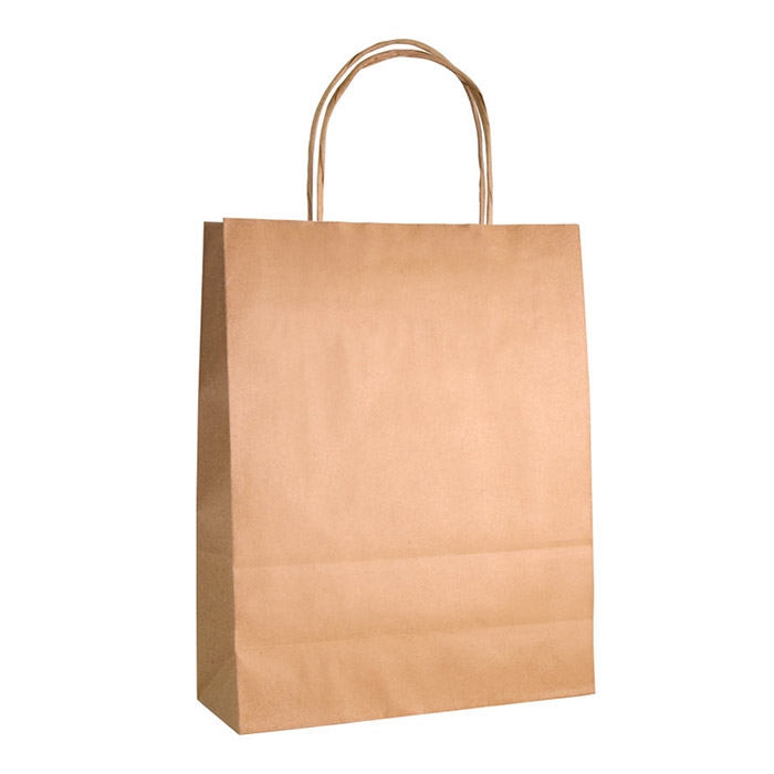 TWISTED HANDLE PAPER BAG