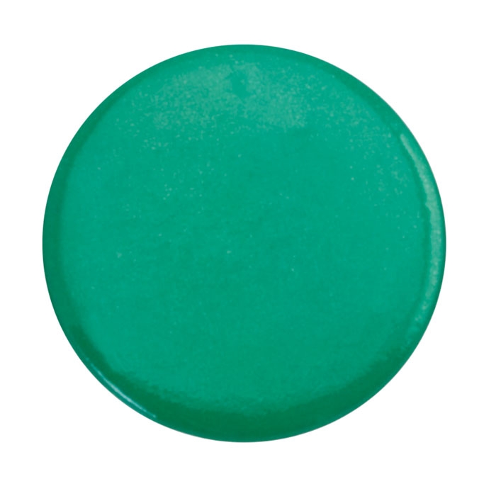 Pin Turmi