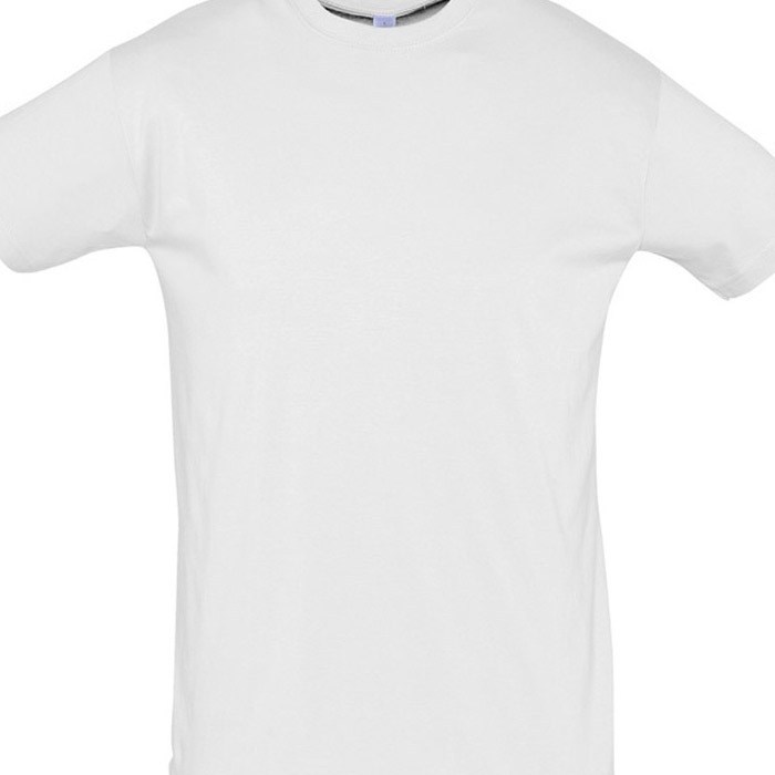 T-SHIRT HOMEM REGENT  CORES