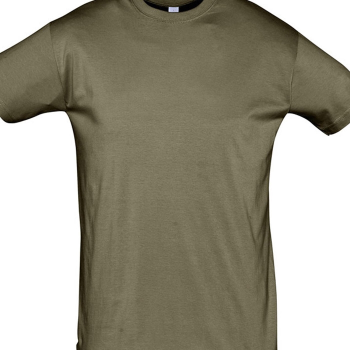 T-SHIRT HOMEM REGENT  CORES