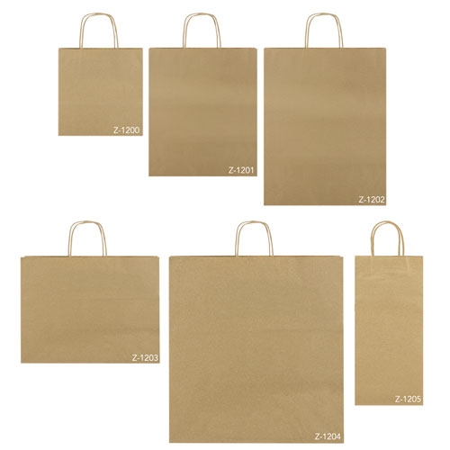BOLSA DE PAPEL 