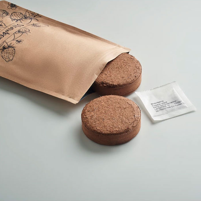 FRESA KIT Kit de cultivo de morangos